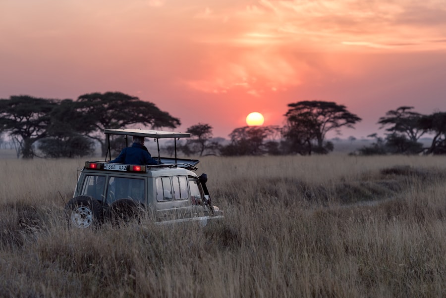 Safari tour vehicle on the savanna at sunset